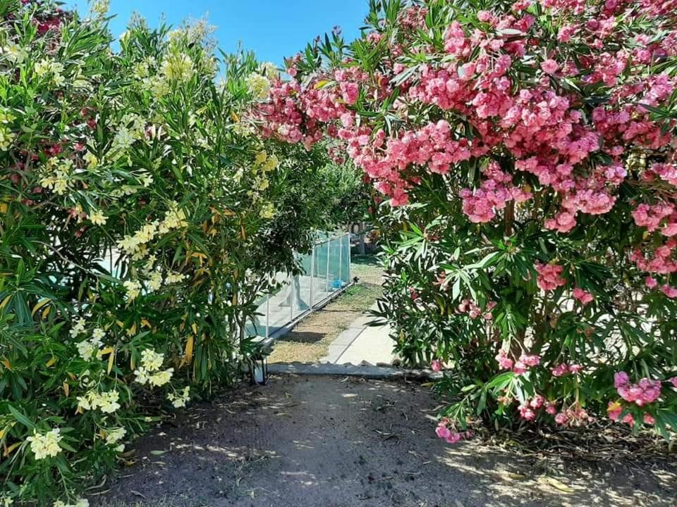 Orasi Sartene Gite Casa Fiurita Экстерьер фото